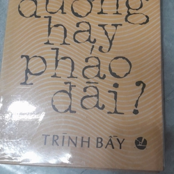 ĐƯỜNG HAY PHÁO ĐÀI? - Nguyễn Ngọc Lan 274186