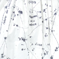 Chân váy CHRISTIAN DIOR - Hàng hiệu Authentic 825190