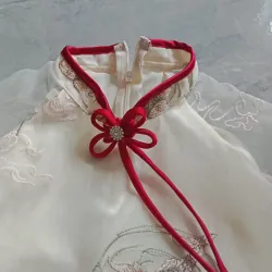 Áo dài thêu kem quần lụa  1024462