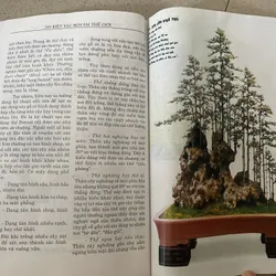 200 Kiệt Tác Bonsai Thế Giới 593874