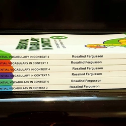 Essential Vocabulary in context 1-6 548354