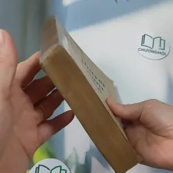 [MIỄN PHÍ BỌC SÁCH] [XƯA] Tiểu Thuyết Việt Nam Hiện Đại 2 (1978) - Phan Cự Đệ 776017