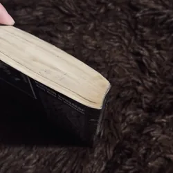 Nghệ nhân và Margarita 736227