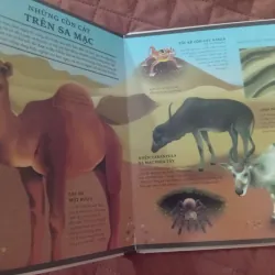 Atlas Đa Tương Tác Về Động Vật Hoang Dã 1009877