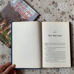 Sách ngoại văn A Pup Called Trouble, Used, Bìa cứng, Fiction For Young Adult 446629