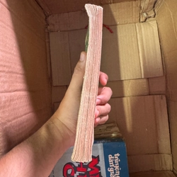 Đất rừng phương nam bản bao cấp  447632