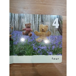 Bluebell Bears - David Ellwand 543913
