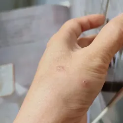 [Tặng nẹp góc] Truyện thiếu nhi Hàn Quốc: Danh nhân 33 -  지인지기 인물 이야기: 섀클턴 731998