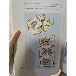 Bone and joint imaging - Francesco Priolo 974444