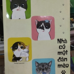 Nhà có một đàn mèo 315863