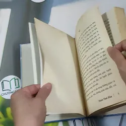 Nguồn Sáng Vô Tận - Thích Thái Hòa 990452