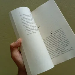 The outsiders, sách ngoại văn tiếng Anh, english book tiểu thuyết  592851