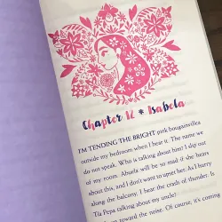 Disney Encanto: A Tale of Three Sisters 972092