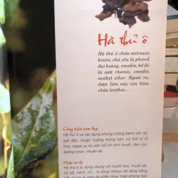 Những phương thuốc làm đẹp từ cây thuốc nam - Thiên Kim 977076