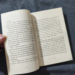 The Thunderbolt Pony - Stacy Gregg 791813