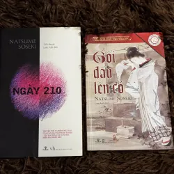 Combo Natsume Soseki