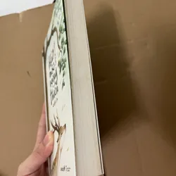 Hảo mộc vọng thiên 1 563098