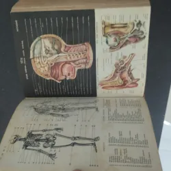 Petit Larousse 1963 993680