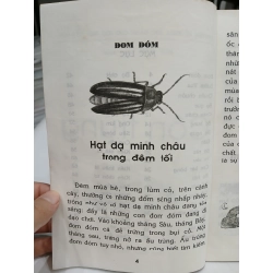 Côn Trùng – Chuyện Kể Khoa Học Cho Học Sinh Tiểu Học 549654