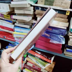 Hoạt động phận sự của giáo hội phật giáo VN tỉnh hoà bình 673723