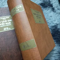 Các loài chim Việt Nam (Lê Mạnh Hùng) 736184