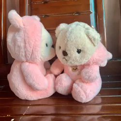 Cặp gấu bông màu hồng