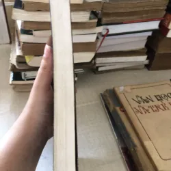 Thiên đường bên trái thâm quyến bên phải 973897