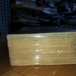 Bộ tứ kim cương - Mizushiro Setona 791769