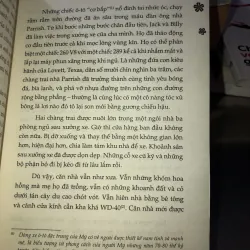 Tình yêu trở lại - Rachel Gibson 1021765