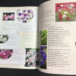 Combo 2 cuốn sách teen nhẹ nhàng 925702