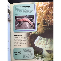 Ocean: discover the secrets of the natural world 782772