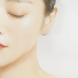 PT900 Bông tai - Hàng hiệu Chính hãng 873862