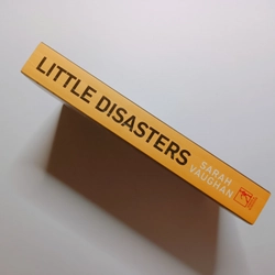 Little Disasters - Sarah Vaughan

 223660