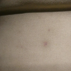 Túi Louis Vuitton Monogram Bicolor OnTheGo PM M45779 614553