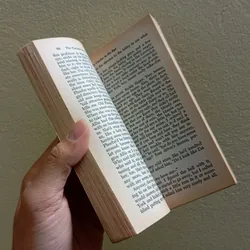 The catcher in the rye, sách ngoại văn tiếng Anh english book  736003