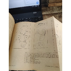 Miễn dịch trung gian tế bào - Đỗ Trung Phấn 1026941