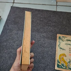 Hà nội thì không có tuyết 737260