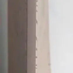 Bản Năng và Lý Trí 696808