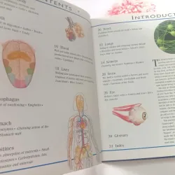 The Incredible Journey Through the Human Body 1002083