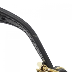 Túi xách vai Louis Vuitton Monogram Pochette Trunk Vertical M63913 - Hàng hiệu Chính hãng 802715