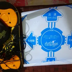 Trượt tuyết tốc độ cao của japan  1020233