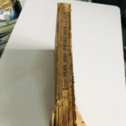 BỆNH HỌC NGOẠI KHOA  700913