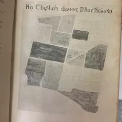 NHỮNG TRANG SỬ ĐẪM MỒ HÔI CỦA HỌ CHOLON VIETNAM - LONG GIANG TỬ 726584