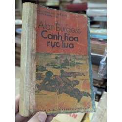 CÁNH HOA RỰC LỬA 132584