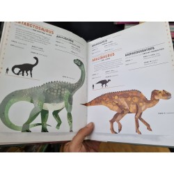 DICTIONARY OF DINOSAURS : AN ILLUSTRATED A TO Z OF EVERY DINOSAUR EVER DISCOVERED 119625