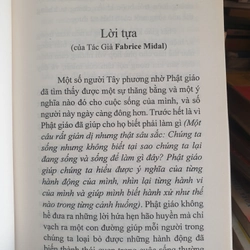 Phật Giáo Nhập Môn (Fabrixe Midal, NXB Hải Ngoại) 478842
