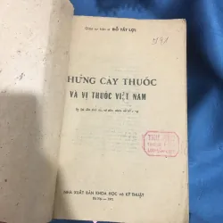 Những cây thuốc vị thuốc Việt Nam 958095