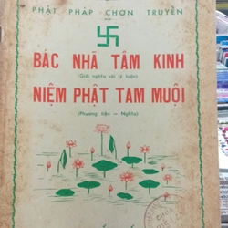 BÁC NHÃ TÂM KINH NIỆM PHẬT TAM MUỘI 