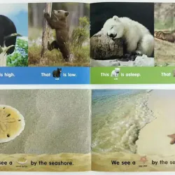 Lets find out level 1+2 (Sách nhập) - Mỗi level 24 quyển + File Mp3 759596