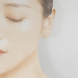 PT900 Bông tai kim cương 0.22CT - Hàng hiệu Chính hãng 871886